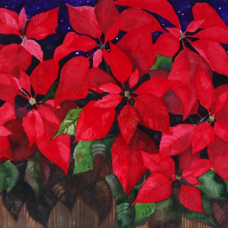 Poinsettias in the Night
22x30 Poinsettias in the Night
22x30